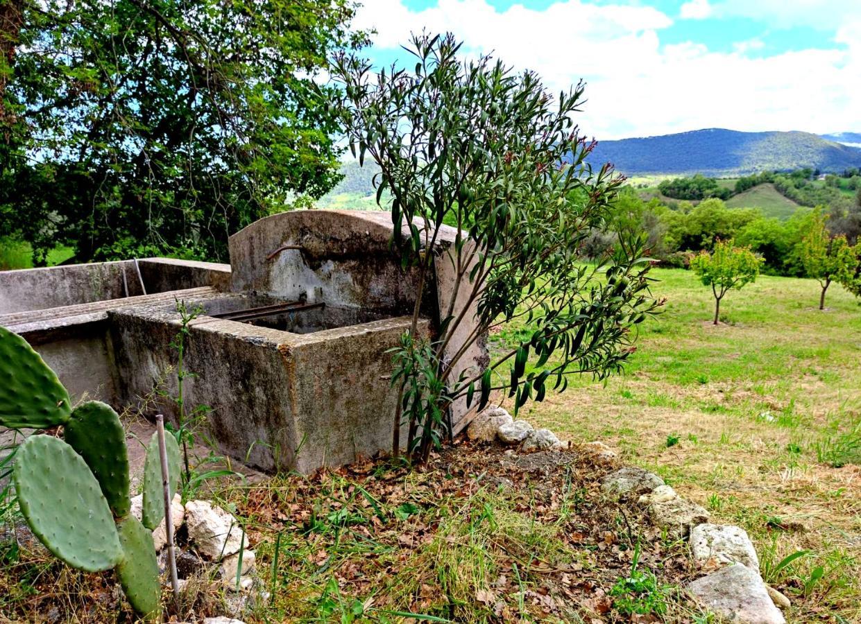 Ai Limiti • 67 • Stonehouse Casa de hóspedes Palombaro Exterior foto